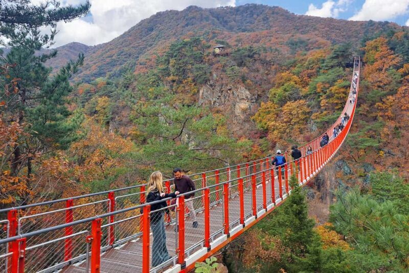 Seoul: DMZ Guided Tour with Suspension Bridge and Gondola - Who Will Love This Tour?