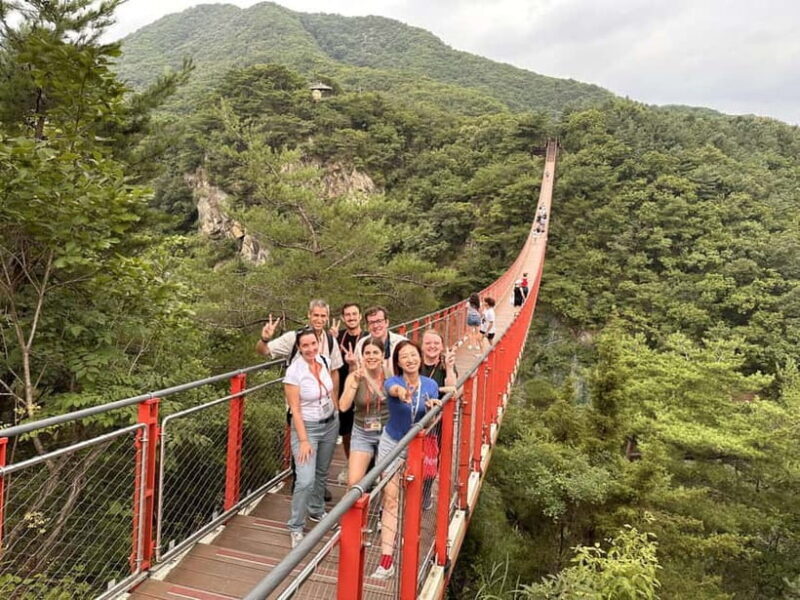 Seoul: DMZ The 3rd Tunnel and Suspension Bridge Tour - Physical Considerations & Accessibility