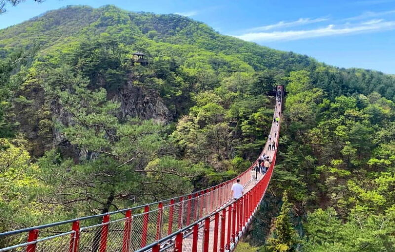 Seoul: DMZ Tour & North Korean Defector Meet Up (As Add-on) - Final Thoughts