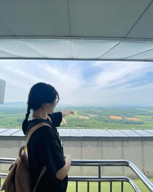 Seoul: DMZ Tour with 3rd Tunnel and Suspension Bridge Tour - Who Should Consider This Tour?