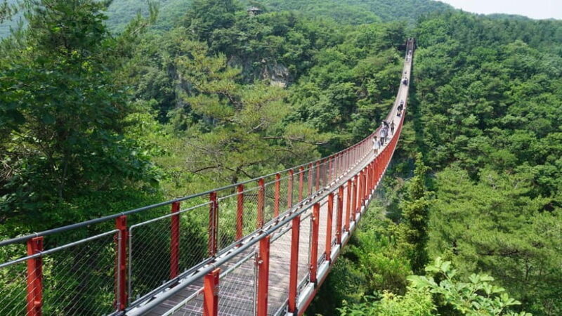 Seoul: DMZ Tour with Optional Suspension Bridge - Key Points