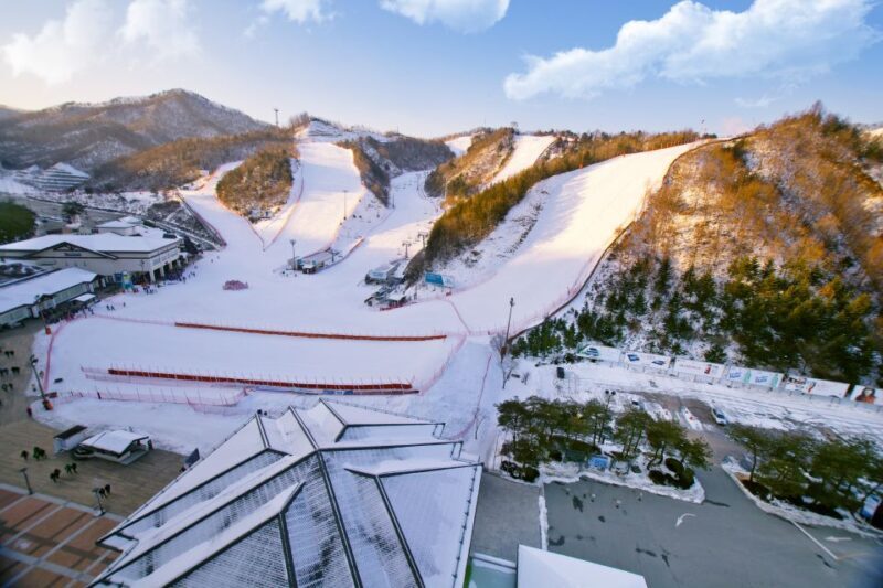 Seoul: Elysian Gangchon Winter Ski Resort Fun Day Tour - The Sum Up