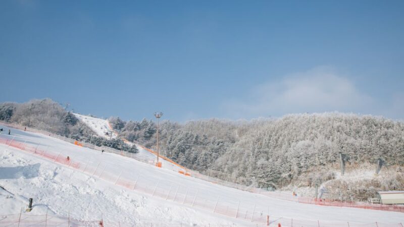 Seoul: Elysian Gangchon Winter Ski with Nami Island Day Tour - FAQ