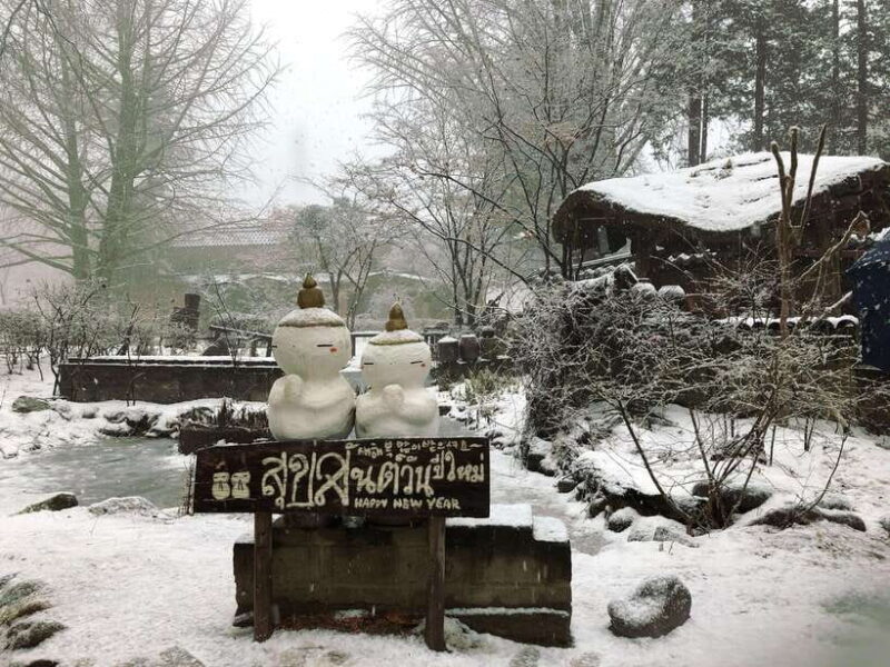 Seoul: Elysian Ski + Eobi Ice Valley + Nami - Who Should Consider This Tour?