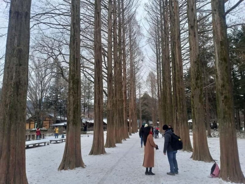 Seoul: Elysian Ski + Eobi Ice Valley + Nami - Final Thoughts