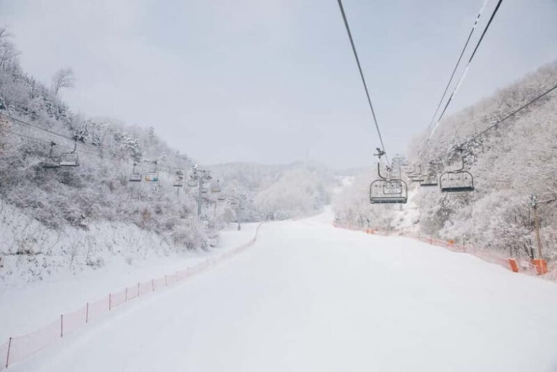 Seoul: Elysian Ski Resort & Eobi Ice Valley - A Closer Look at the Tour: What to Expect