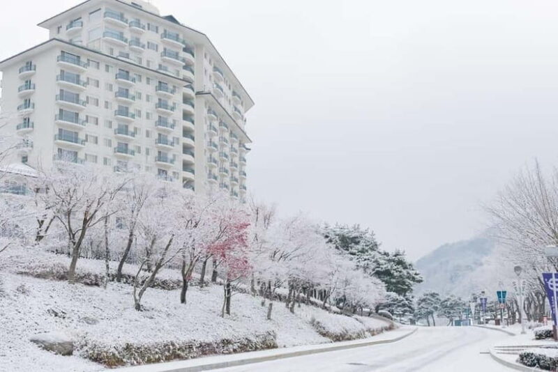 Seoul: Elysian Ski Resort & Eobi Ice Valley - The Itinerary in Detail