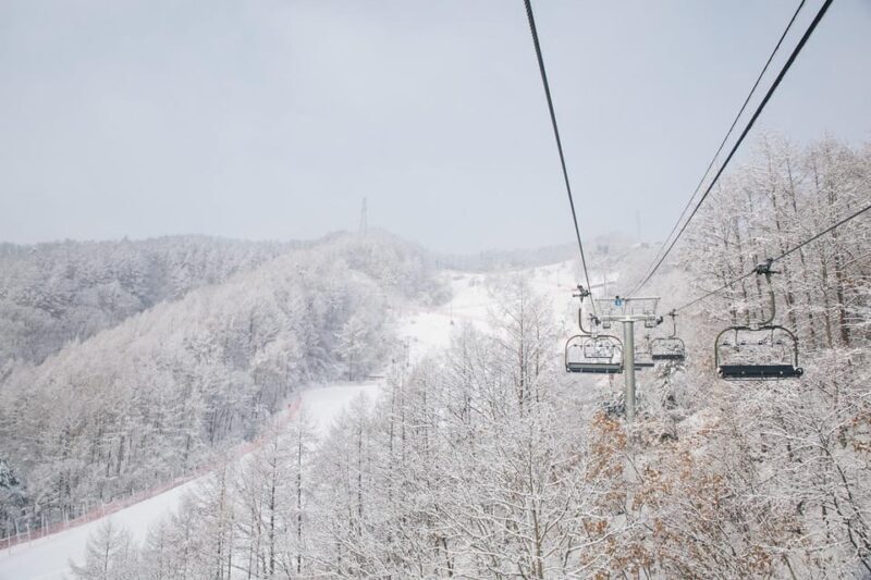 Seoul: Elysian Ski Resort & Eobi Ice Valley - Final Thoughts: Is This Tour for You?