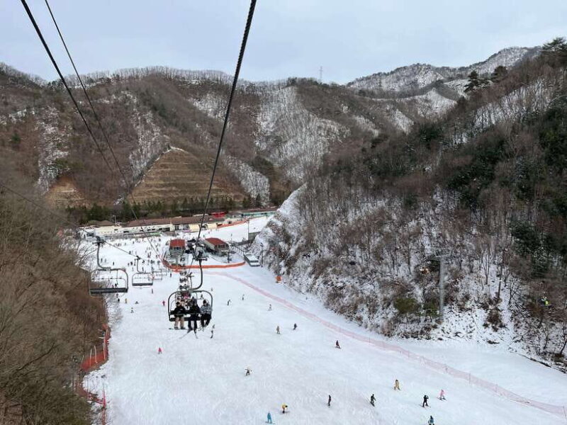 Seoul: Elysian Ski Resort One Day Tour - Experience the Charm of Korean Winter at Elysian Ski Resort