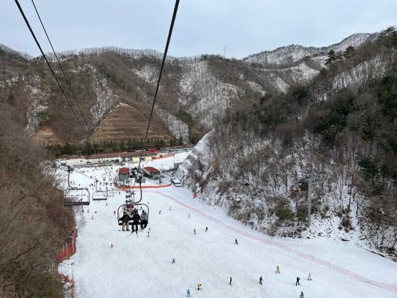 Seoul: Elysian Ski Resort One Day Tour - The Sum Up: Who Should Consider This Tour?