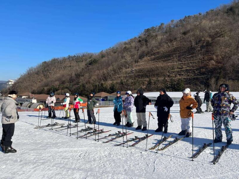 Seoul: Elysian Ski Resort One Day Tour - FAQ