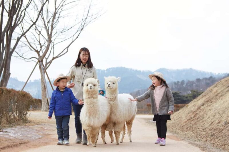 Seoul: Eobi Ice Valley, Alpaca World, Nami Island and More - A Deep Dive into the Experience