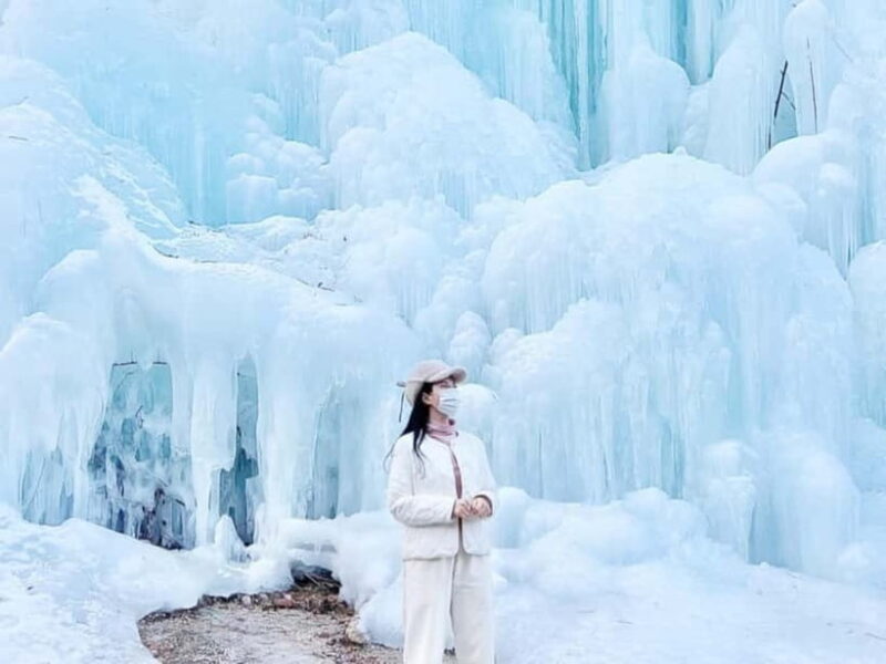 Seoul: Eobi Valley(Winter), Strawberry, Nami Island and Bike - What’s Included and Why It Matters