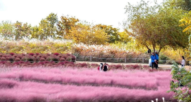 Seoul Full-Day City Tour: Hanok Village, Scenic Routes - Key Points