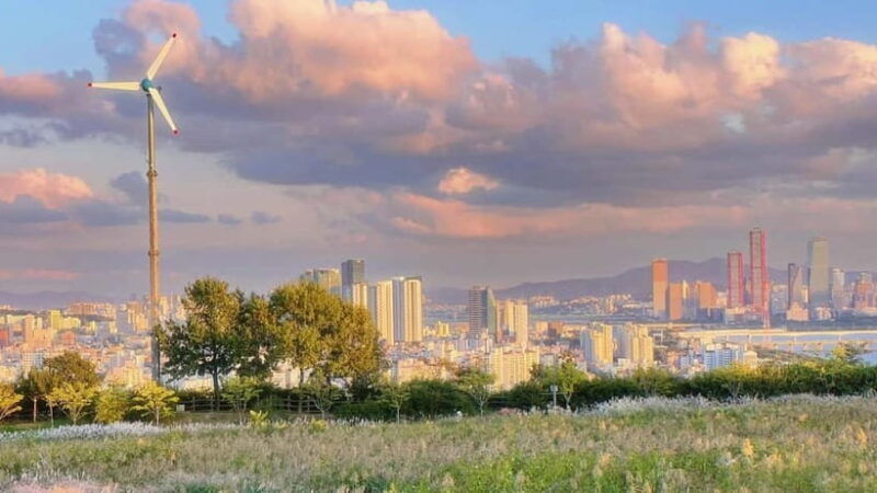 Seoul Full-Day City Tour: Hanok Village, Scenic Routes - An In-Depth Look at the Seoul Full-Day City Tour