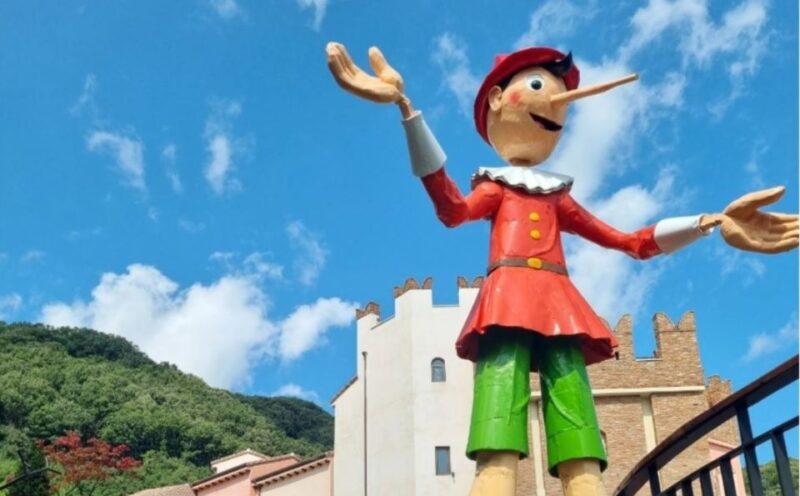 Seoul: Gangwon-do Day Trip with Alpaca World & Nami Island - A Closer Look at the Experience