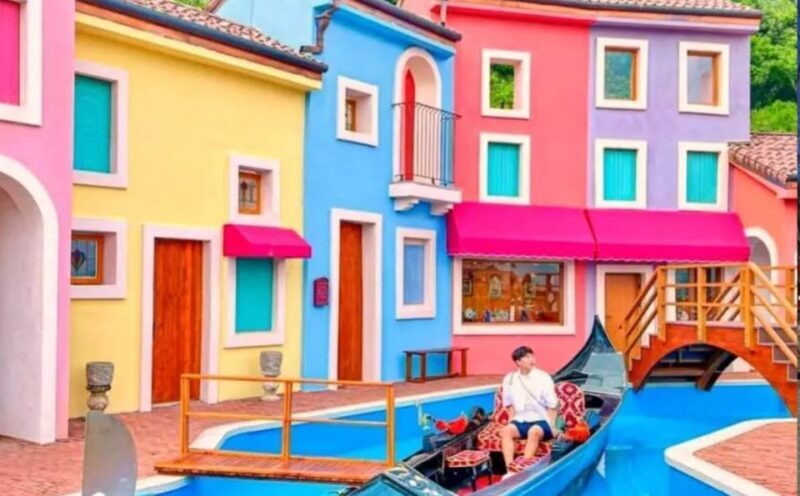 Seoul: Gangwon-do Day Trip with Alpaca World & Nami Island - Final Thoughts