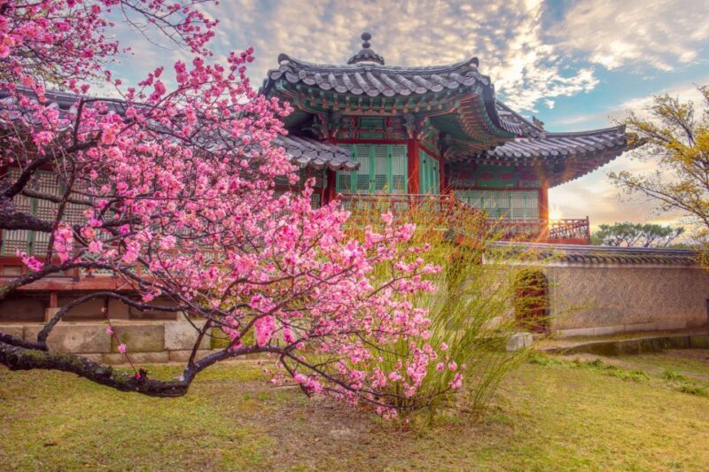 Seoul: Gyeongbok Palace and Bukchon Hanok Walking Tour - Key Points