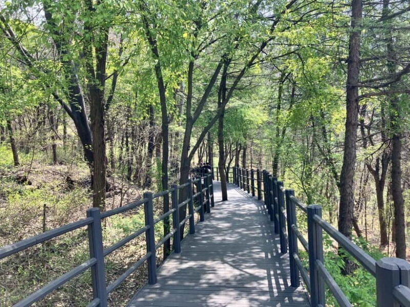 Seoul: Hiking Ansan Jarak-gil Trail & Makgeolli Experience - The Makgeolli Experience