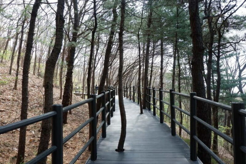 Seoul: Hiking Ansan Jarak-gil Trail & Makgeolli Experience - The Sum Up