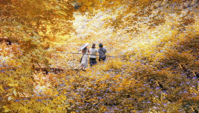 Seoul: Hwadam Forest & Namhansanseong & Korean Folk Village - An In-Depth Look at the Tour Experience