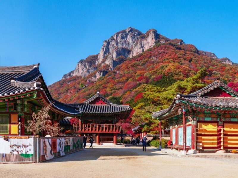 Seoul: Hwadamsup & Luge & Korea Folk Village One Day Tour - A Full Breakdown of the Tour Experience