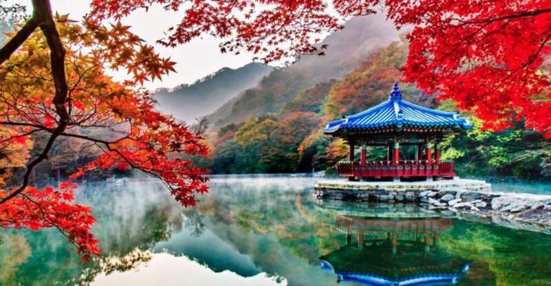 Seoul: Hwadamsup & Luge & Korea Folk Village One Day Tour - Practical Tips and Considerations