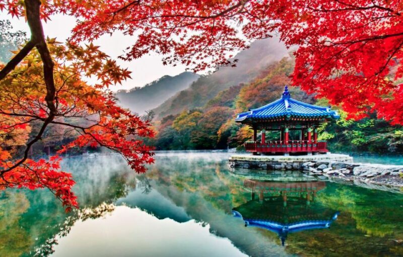 Seoul: Hwadamsup & Luge & Korea Folk Village One Day Tour - Final Thoughts