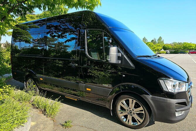 Seoul Incheon Airport (ICN) to Seoul - Arrival Private Transfer - Who Should Consider This Service?