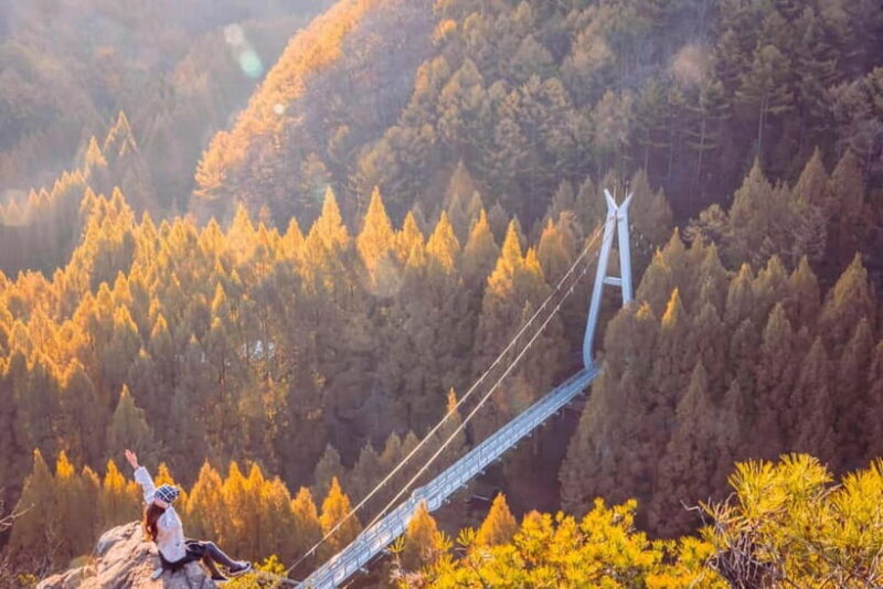Seoul: Jangtaesan Recreational Forest Autumn Foliage Tour - The Sum Up: Is This Tour Right for You?
