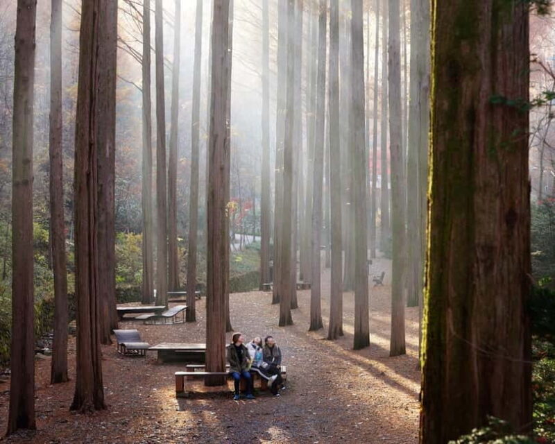 Seoul: Jangtaesan Recreational Forest Autumn Foliage Tour - FAQ