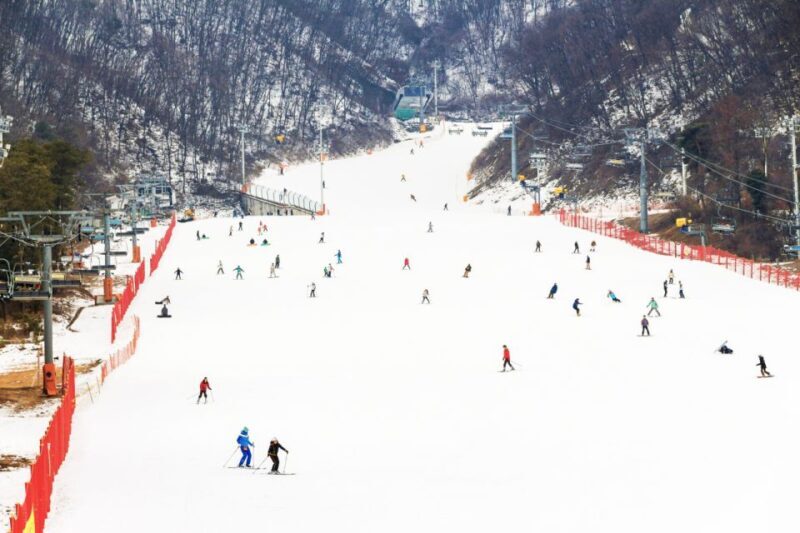 Seoul: Jisan Forest Winter Ski Day Tour with Basic Lesson - What to Expect on the Jisan Forest Ski Day Tour