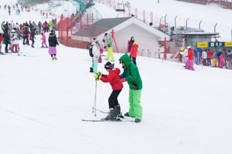 Seoul: Jisan Forest Winter Ski Day Tour with Basic Lesson - Practical Tips for Your Day Trip