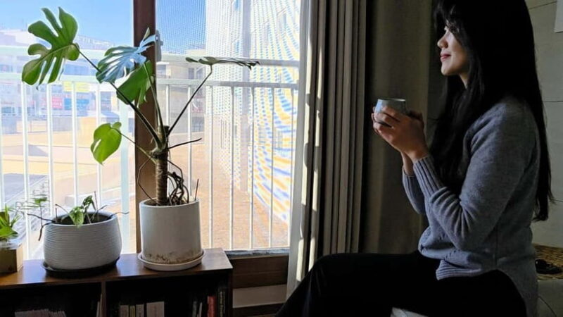 Seoul: Korean Language Lesson, Market Tour & Cooking Class - Key Points