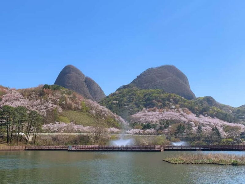 Seoul: Maisan Cherry Blossom and Jeonju Hanok Day Tour - Key Points