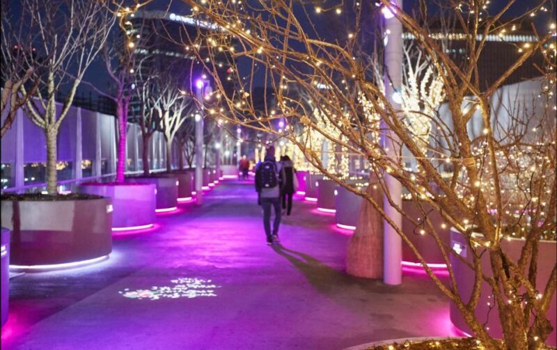 Seoul: Moonlight Rainbow Fountain Show Night Tour - Key Points