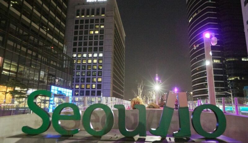 Seoul: Moonlight Rainbow Fountain Show Night Tour - A Deep Dive into the Night Tour Experience