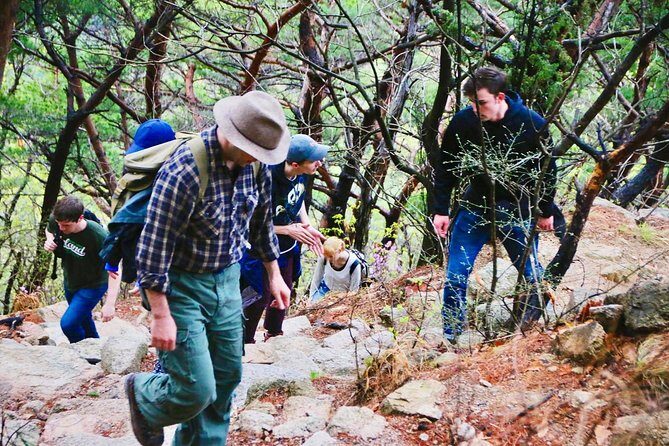 Seoul Mountain Hike: Temples, Folklore & Traditional Meal - FAQ