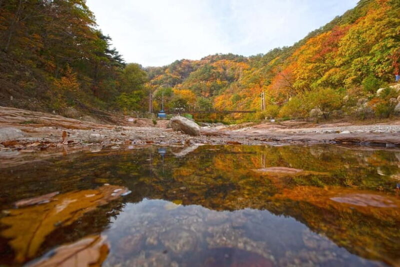 Seoul: Mt. Seorak & Autumn Flower Festival - The Itinerary: What to Expect