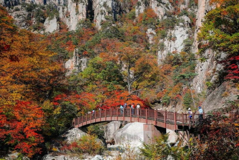 Seoul: Mt. Seorak & Autumn Flower Festival - Price and Value
