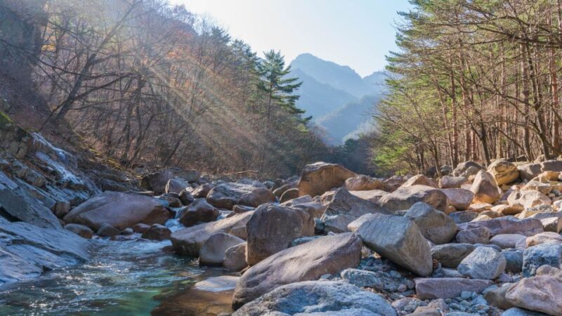 Seoul: Mt Seorak Hike with Naksansa Temple or Nami Island - Key Points