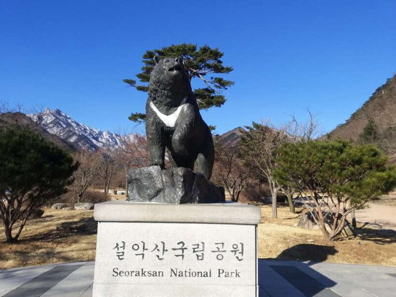 Seoul: Mt.Seorak, Nami Island & Korean Garden, No Shopping - Explore Korea’s Natural Wonders in a Single Day