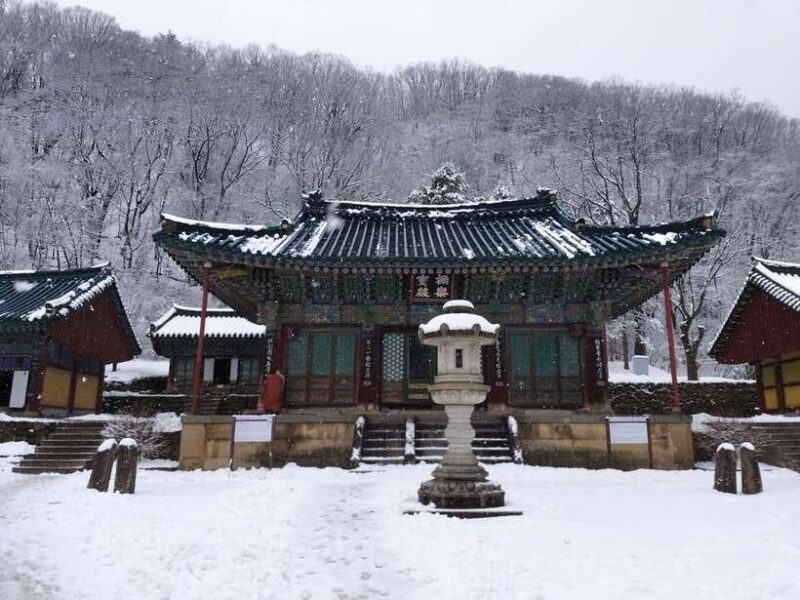 Seoul: Mt.Seorak, Nami Island & Korean Garden, No Shopping - Key Points