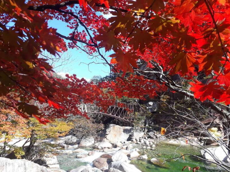 Seoul: Mt.Seorak, Nami Island & Korean Garden, No Shopping - FAQ