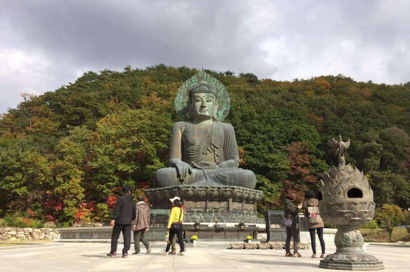 Seoul: Mt.Seorak, Nami Island, No Shopping(+RailBike Option) - Key Points