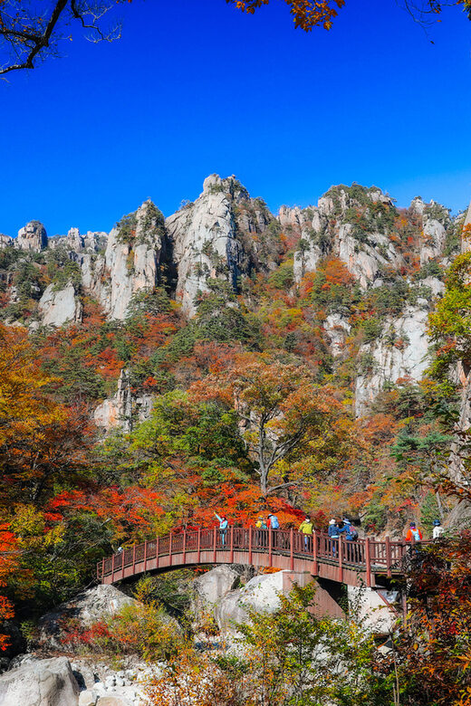 Seoul: Mt. Seoraksan National Park Autumn Foliage Day Tour - Key Points