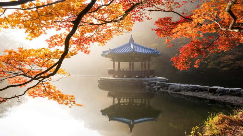 Seoul: Naejangsan National Park Autumn Foliage One Day Tour - The Sum Up