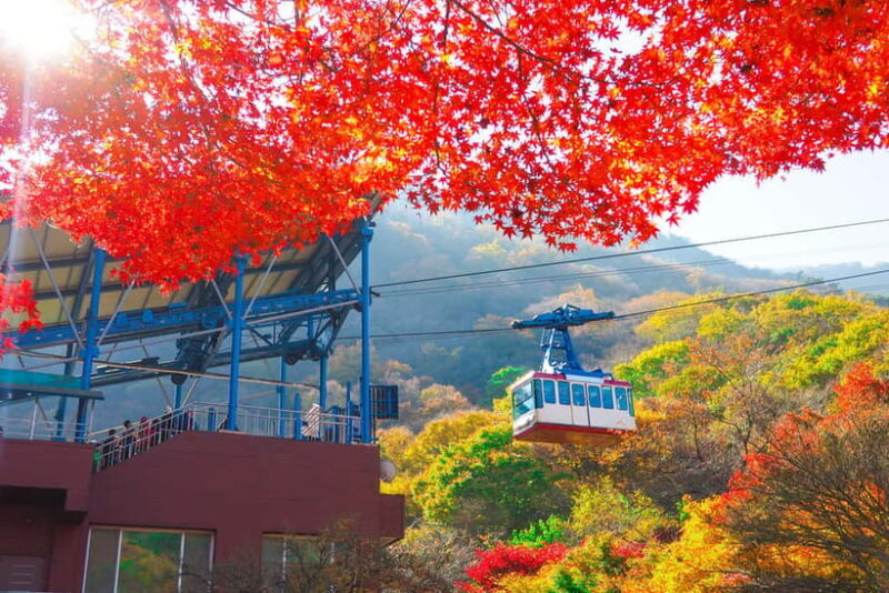 Seoul: Naejangsan National Park Autumn Foliage One Day Tour - FAQ