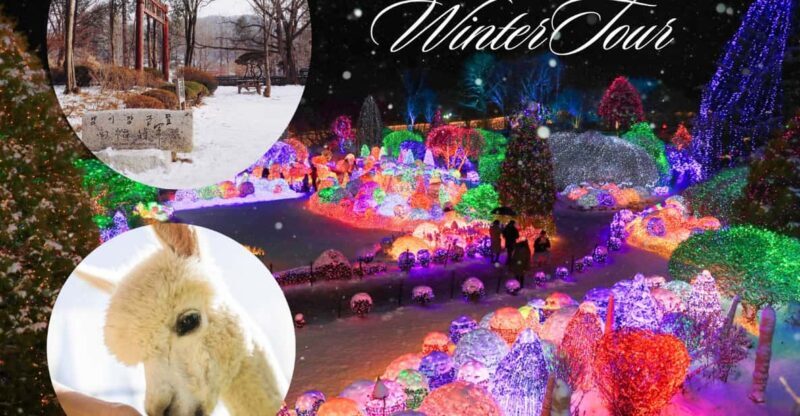 Seoul: Nami and K-Garden with Optional Alpaca Winter Tour - What’s Included and What to Expect