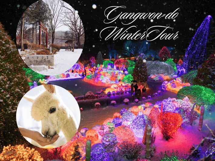 Seoul: Nami and K-Garden with Optional Alpaca Winter Tour - The Highlights in Detail